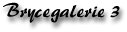 BRYCEGALERIE 3